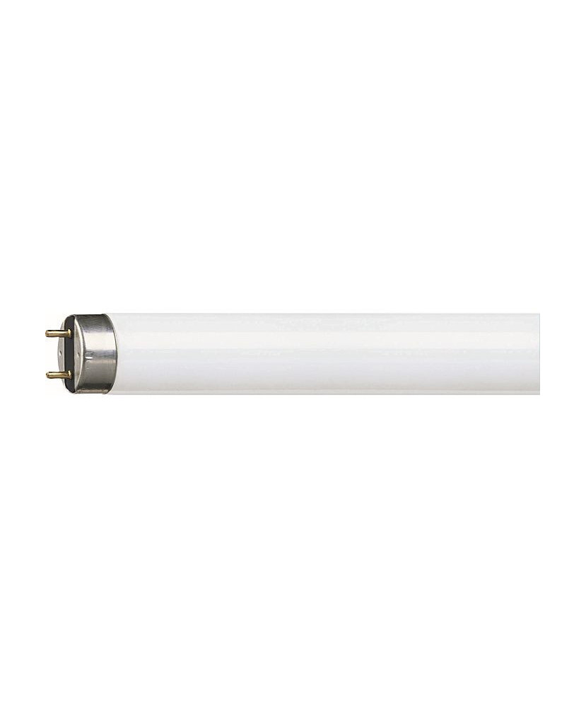 Produkt: ZIARIVKA 36W L21/840 + RP - 3PASMOVA